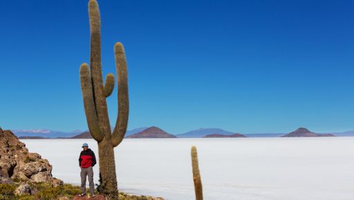 Bolivia Altiplano