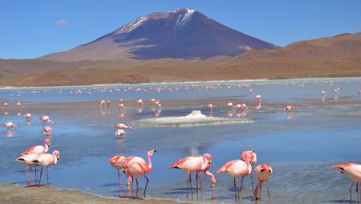 Laguna altiplanica