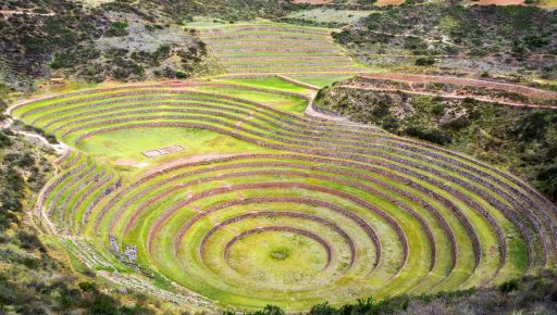 Moray